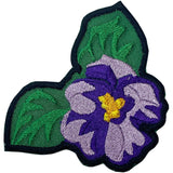 NPHC Sorority Patches